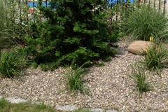 Pool-Garden
